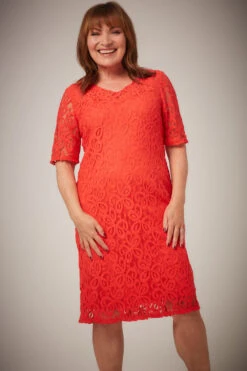 Short Sleeve Lace Dress -Mod Vanta Sales Store 22 11 08 BonMarche LorraineKelly SHOT023 06711