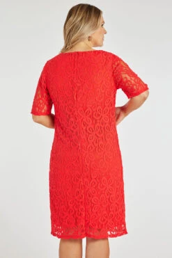 Short Sleeve Lace Dress -Mod Vanta Sales Store 900311821 alt4